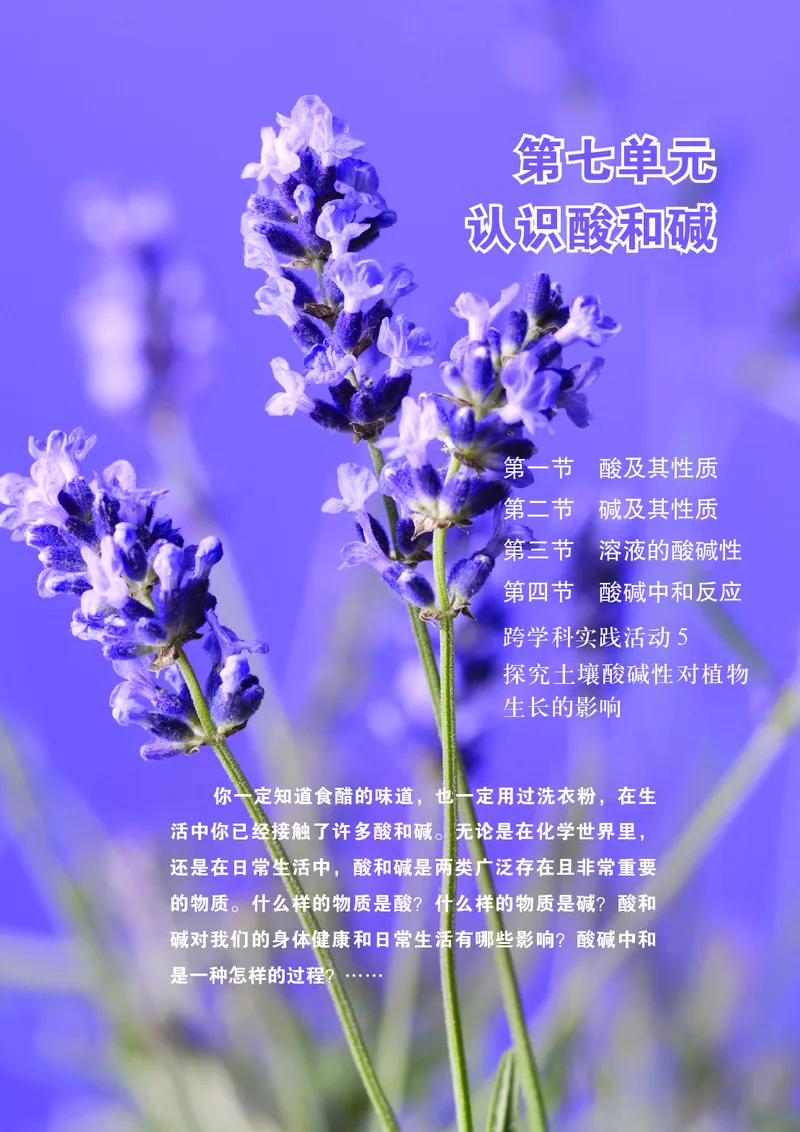 《化学九下鲁教版（2025春）_初中化学_鲁教版_鲁教版六三制》第6页预览