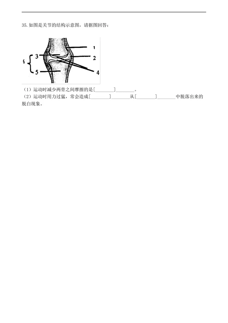 《20201206八年级（上）期末生物试卷——15_初中全科目同步习题+精品试卷（7-9年级）_25秋初中生物《同步习题+精品试卷》_初中生物试卷（人教版）_《期末试卷》》第5页预览