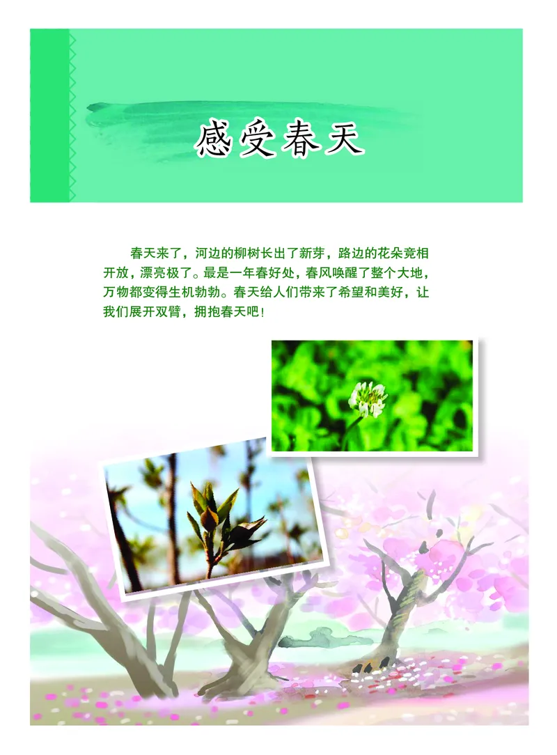 《综合实践活动4B_光塔笔记小学教辅_2025秋电子课本小学科目-新教材_全部版本•综合实践电子课本》第7页预览
