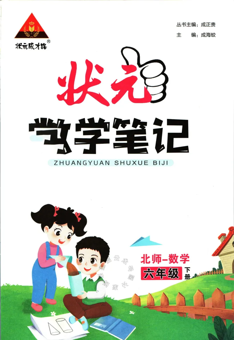 《002.北师版数学状元笔记六年级下册_小学1-6年级全科全套_1-6年级全科下册_六年级_其他补充资料_数学北师版资料》第3页预览