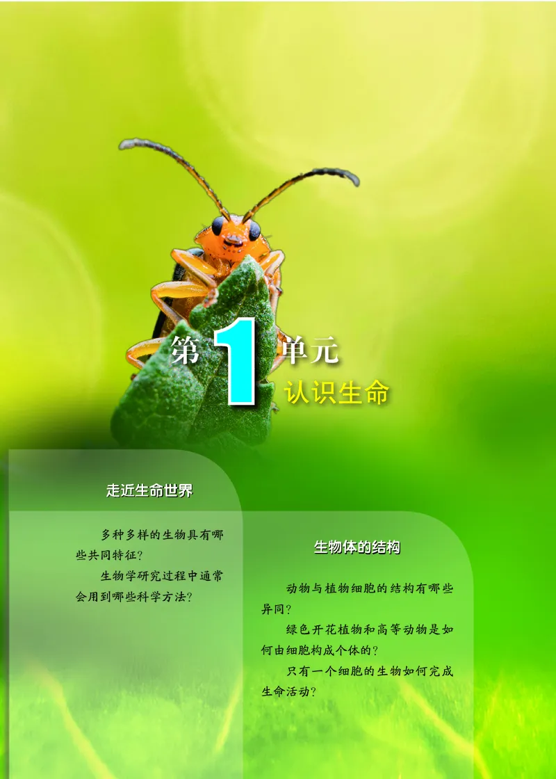 《北京版7年级生物上册高清教材_2025秋电子课本初中科目-新教材_全部版本•初中生物电子课本_北京版初中生物电子课本》第8页预览