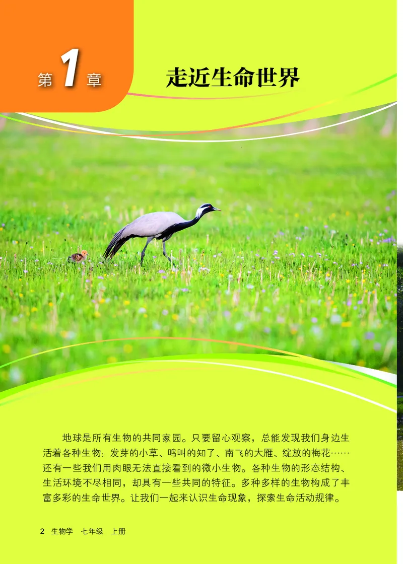 《北京版7年级生物上册高清教材_2025秋电子课本初中科目-新教材_全部版本•初中生物电子课本_北京版初中生物电子课本》第9页预览
