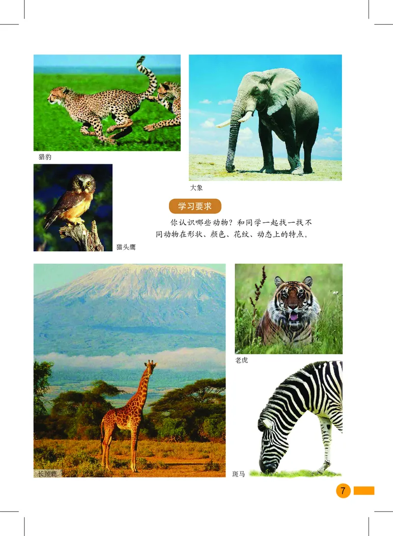 《沪教版1年级美术上册高清教材_光塔笔记小学教辅_2025秋电子课本小学科目-新教材_全部版本•小学美术电子课本_沪教版小学美术电子课本》第9页预览