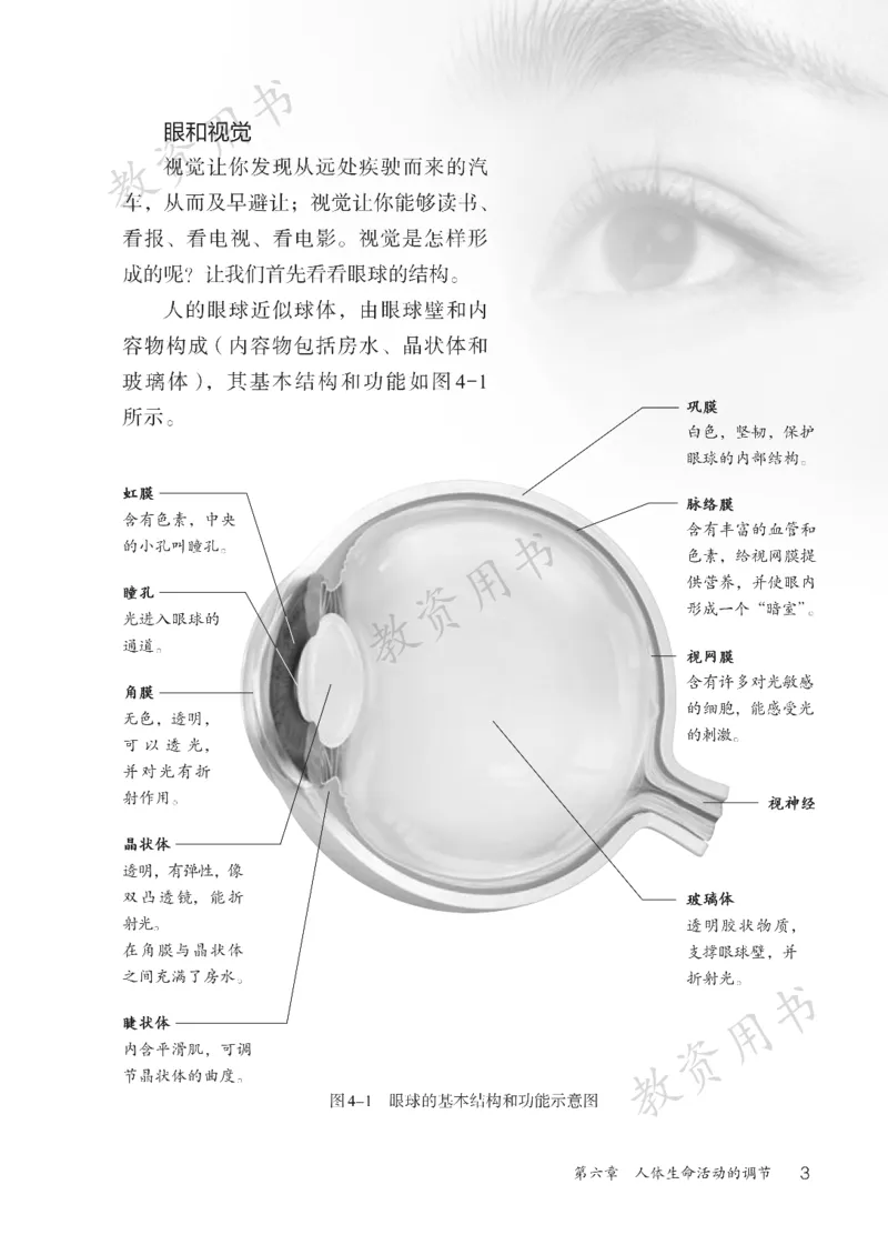 《人教版8年级生物上册高清教材_2025秋电子课本初中科目-新教材_全部版本•初中生物电子课本_人教版初中生物电子课本》第8页预览