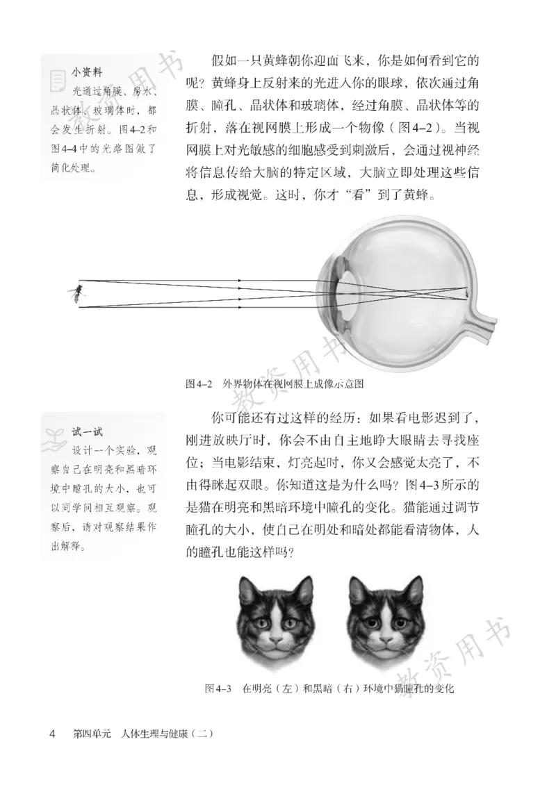 《人教版8年级生物上册高清教材_2025秋电子课本初中科目-新教材_全部版本•初中生物电子课本_人教版初中生物电子课本》第9页预览