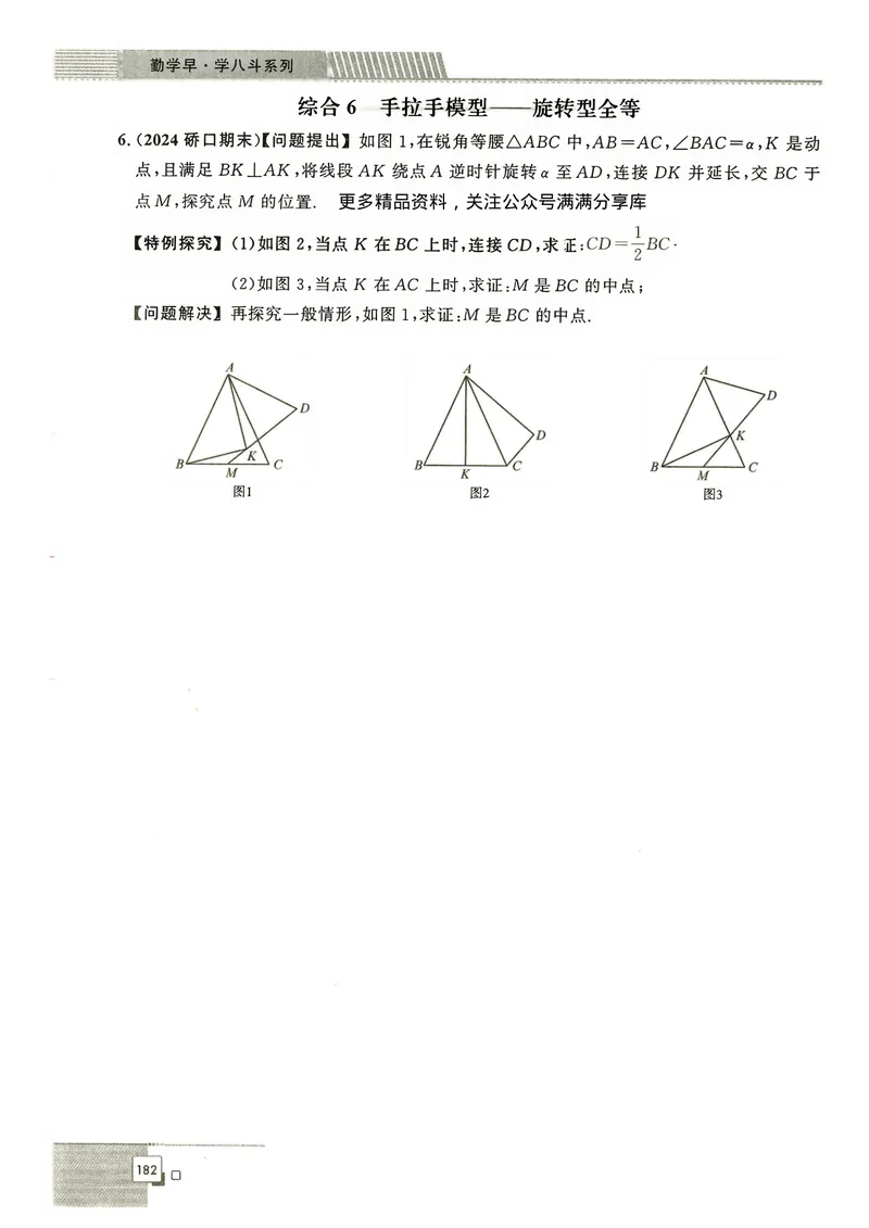 《2024秋八上大综合-学_初中全科目同步习题+精品试卷（7-9年级）_25秋初中数学《同步习题+精品试卷》_初中数学人教版试卷_初中数学人教版7-9年级下册_《名校压轴题》25春》第8页预览