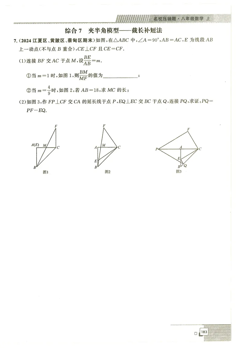 《2024秋八上大综合-学_初中全科目同步习题+精品试卷（7-9年级）_25秋初中数学《同步习题+精品试卷》_初中数学人教版试卷_初中数学人教版7-9年级下册_《名校压轴题》25春》第9页预览