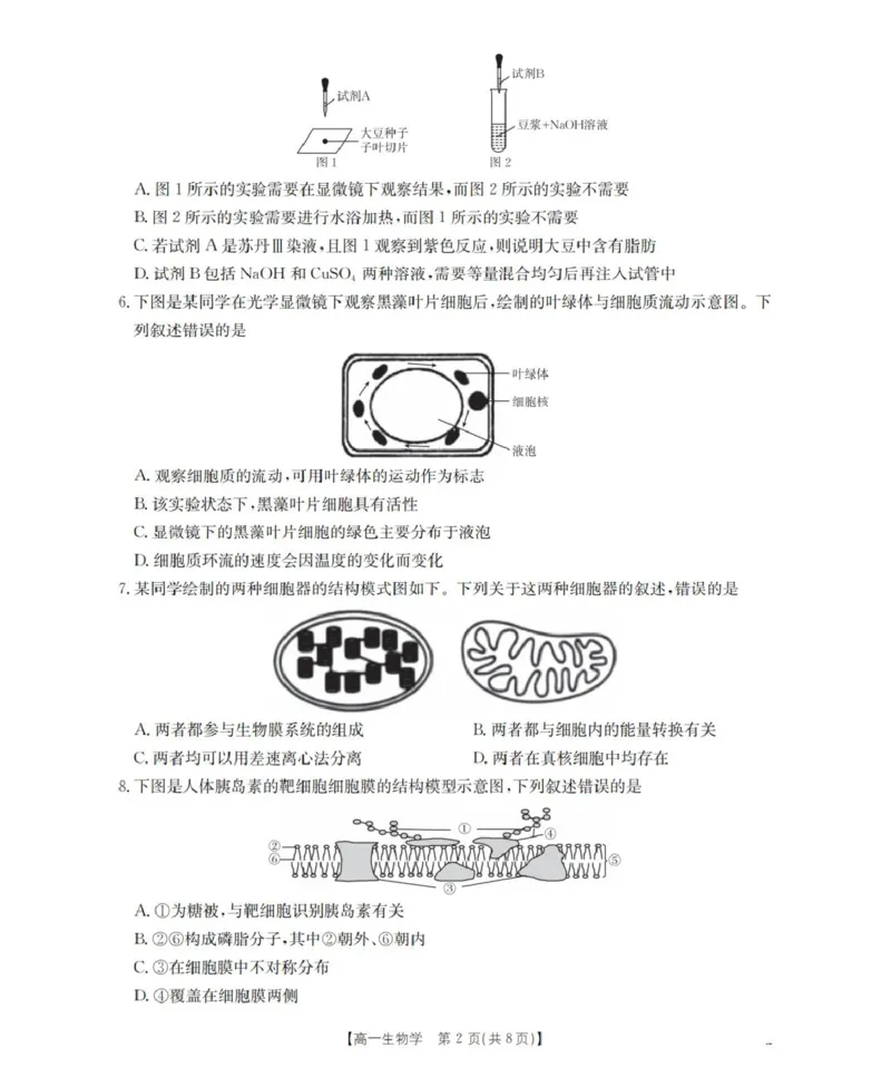 《辽宁省葫芦岛市县协作校2025-2026学年高一上学期第二次考试生物试题_2026年高一《月考+期中考+阶段性检测真题合集》全国各省全科无水印》第2页预览