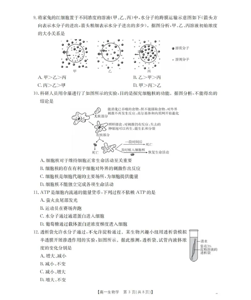 《辽宁省葫芦岛市县协作校2025-2026学年高一上学期第二次考试生物试题_2026年高一《月考+期中考+阶段性检测真题合集》全国各省全科无水印》第3页预览