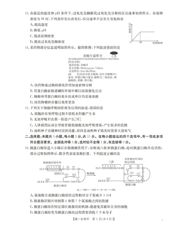 《辽宁省葫芦岛市县协作校2025-2026学年高一上学期第二次考试生物试题_2026年高一《月考+期中考+阶段性检测真题合集》全国各省全科无水印》第4页预览