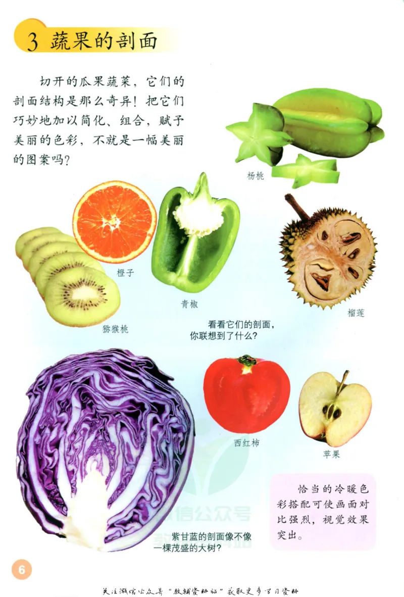 《四年级上册美术鲁教版电子课本_光塔笔记小学教辅_2025秋电子课本小学科目-新教材_全部版本•小学美术电子课本_鲁教版小学美术电子课本》第5页预览