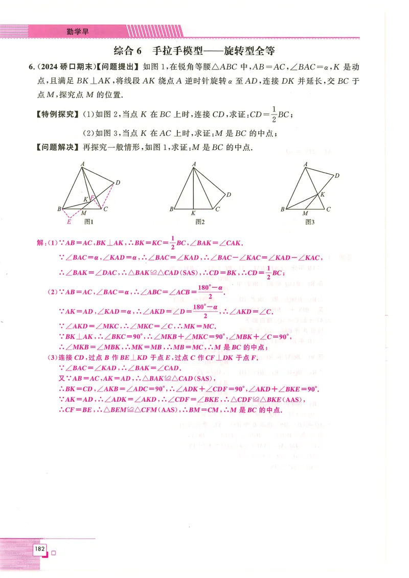《2024秋八上大综合-教_初中全科目同步习题+精品试卷（7-9年级）_25秋初中数学《同步习题+精品试卷》_初中数学人教版试卷_初中数学人教版7-9年级下册_《名校压轴题》25春》第8页预览