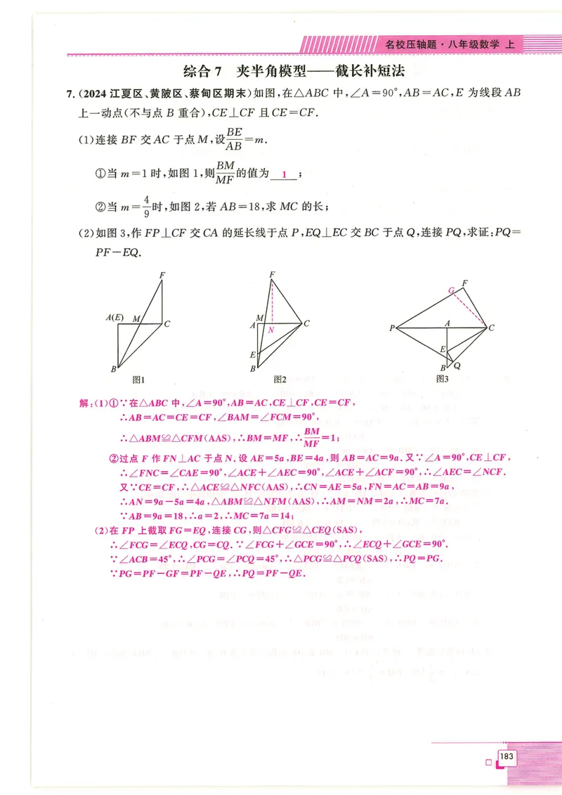 《2024秋八上大综合-教_初中全科目同步习题+精品试卷（7-9年级）_25秋初中数学《同步习题+精品试卷》_初中数学人教版试卷_初中数学人教版7-9年级下册_《名校压轴题》25春》第9页预览