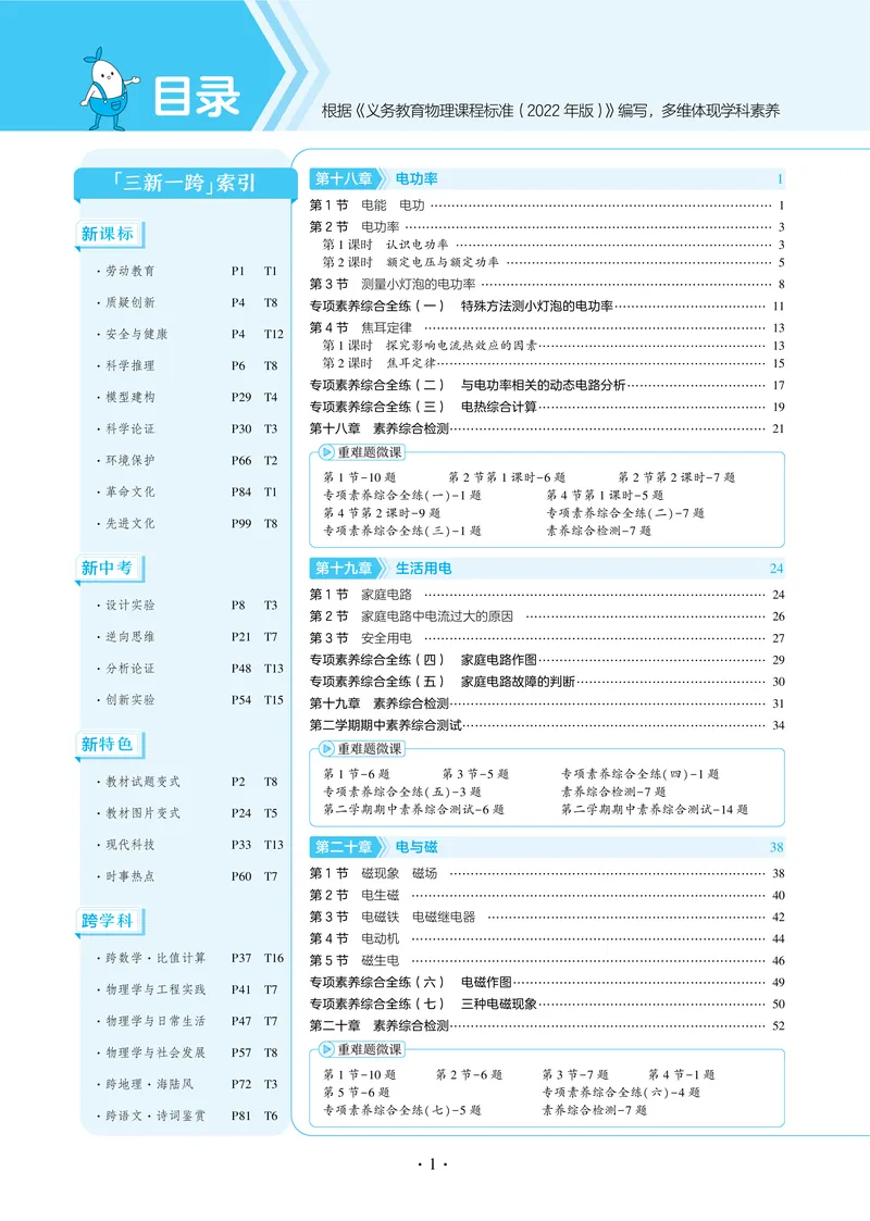 《2025《5.3同步练习•全练讲评教案》物理九下(人教)_初中全科目同步习题+精品试卷（7-9年级）_25秋初中物理《同步习题+精品试卷》_初中物理试卷人教版_《53同步练习》25春》第6页预览
