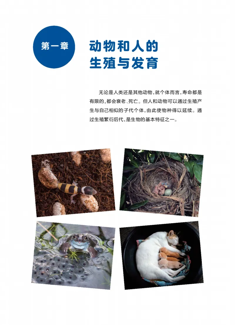 《华东师大版七年级下册(2025年新版)科学电子课本_2025秋电子课本初中科目-新教材_全部版本•初中科学电子课本_华东师大版》第8页预览