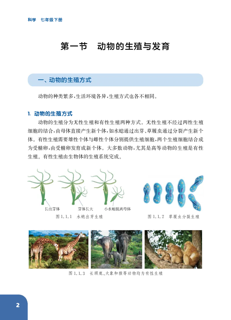 《华东师大版七年级下册(2025年新版)科学电子课本_2025秋电子课本初中科目-新教材_全部版本•初中科学电子课本_华东师大版》第9页预览