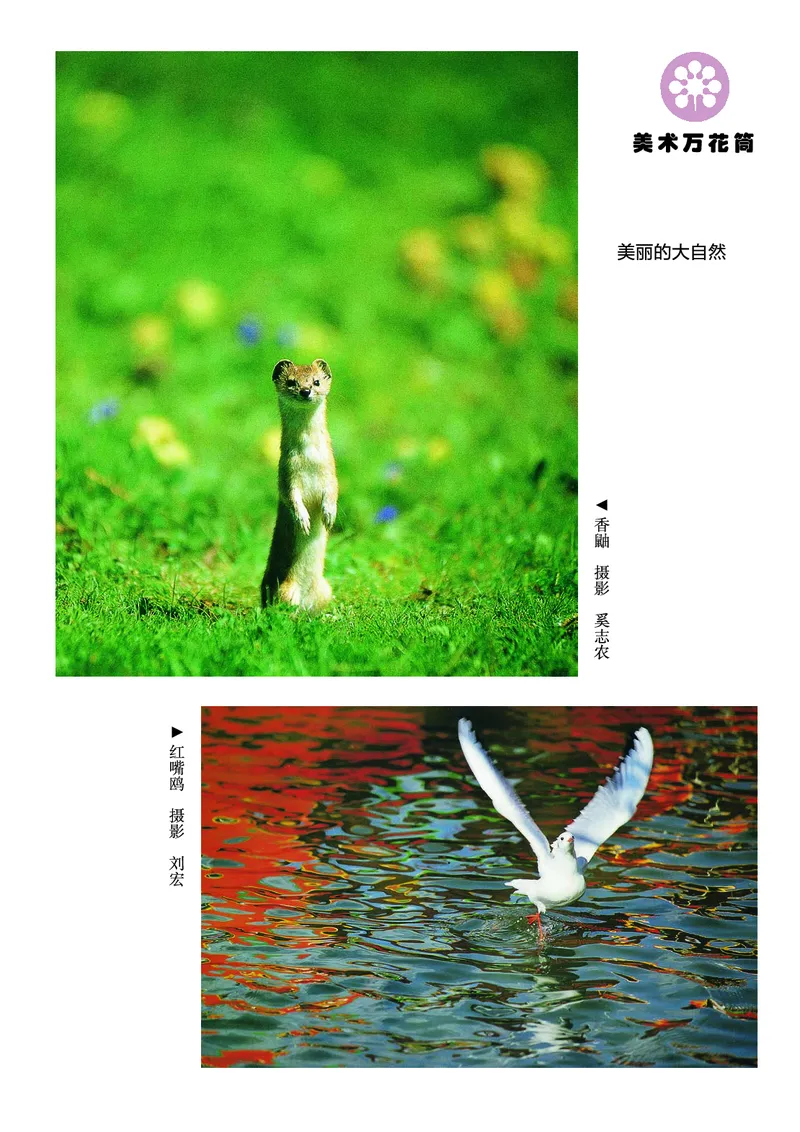 《湘美版2年级美术上册高清教材_光塔笔记小学教辅_2025秋电子课本小学科目-新教材_全部版本•小学美术电子课本_湘美版小学美术电子课本》第2页预览