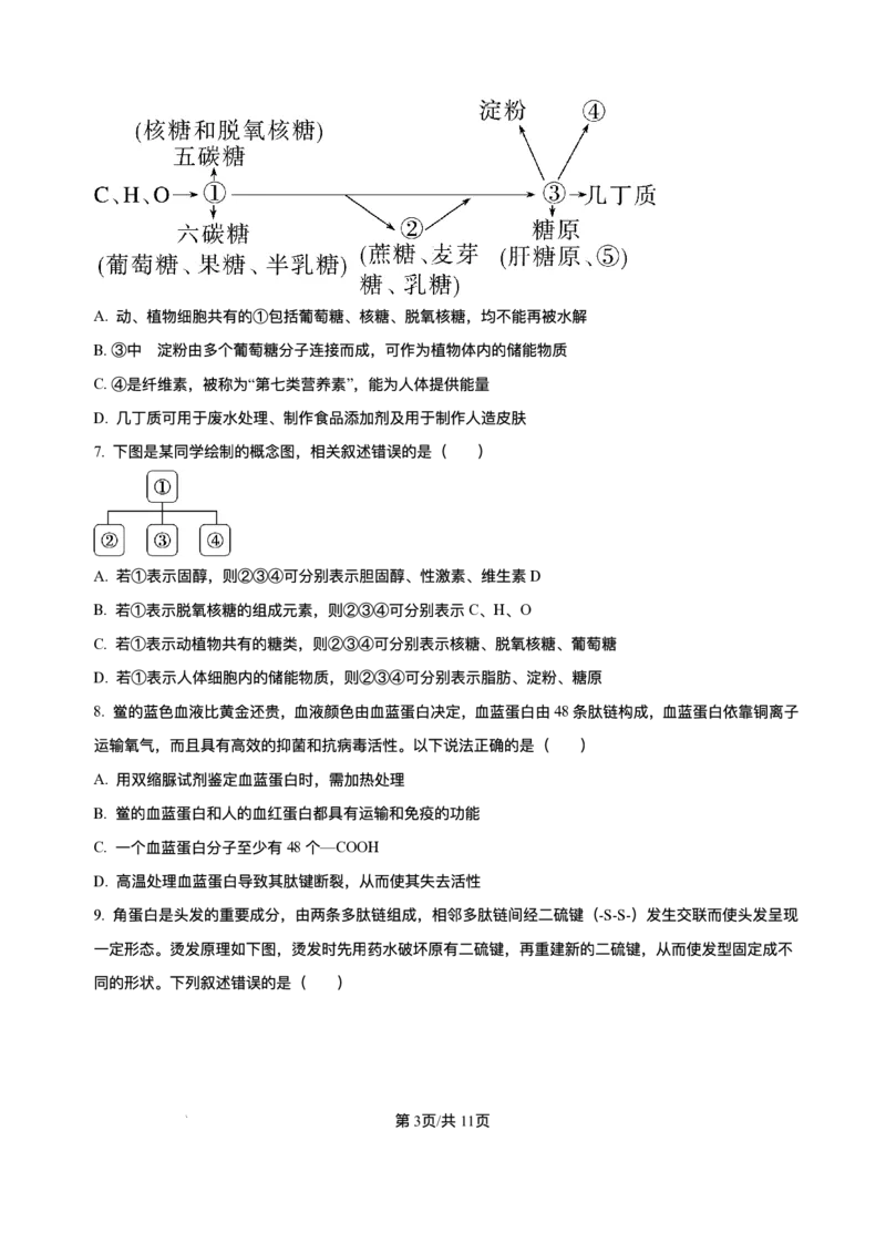 《重庆市长寿中学校2025-2026学年高一上学期12月月考生物试题含答案_2026年高一《月考+期中考+阶段性检测真题合集》全国各省全科无水印》第3页预览