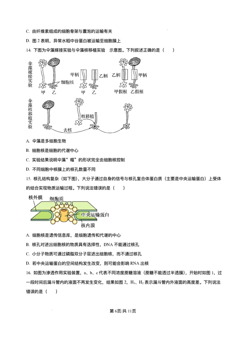 《重庆市长寿中学校2025-2026学年高一上学期12月月考生物试题含答案_2026年高一《月考+期中考+阶段性检测真题合集》全国各省全科无水印》第6页预览
