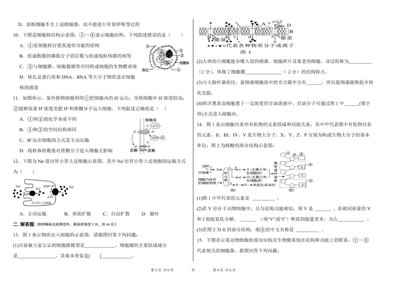 《高一年级生物试卷_2026年高一《月考+期中考+阶段性检测真题合集》全国各省全科无水印_新疆维吾尔自治区喀什地区巴楚县第一中学2026学年高一上学期12月月考（全）》第2页预览