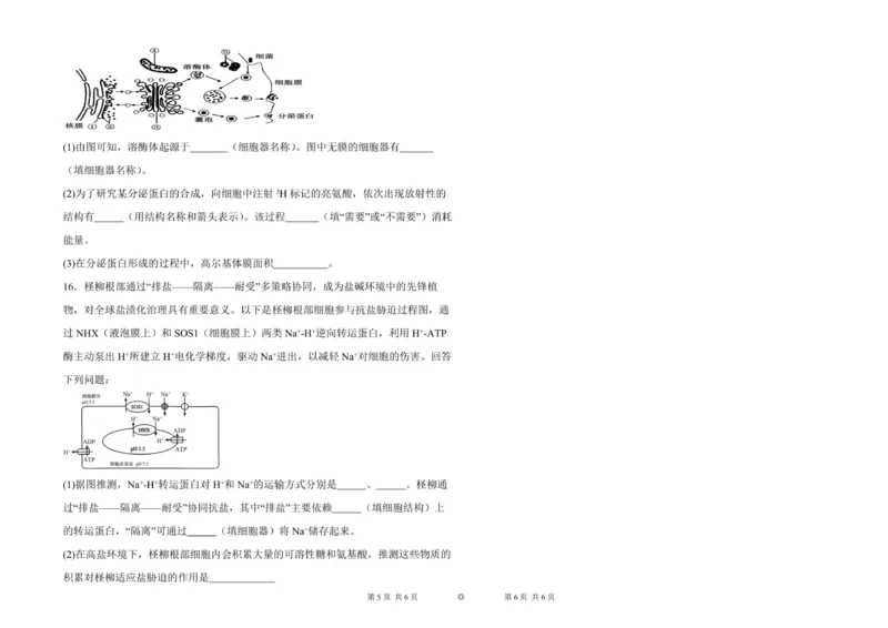《高一年级生物试卷_2026年高一《月考+期中考+阶段性检测真题合集》全国各省全科无水印_新疆维吾尔自治区喀什地区巴楚县第一中学2026学年高一上学期12月月考（全）》第3页预览