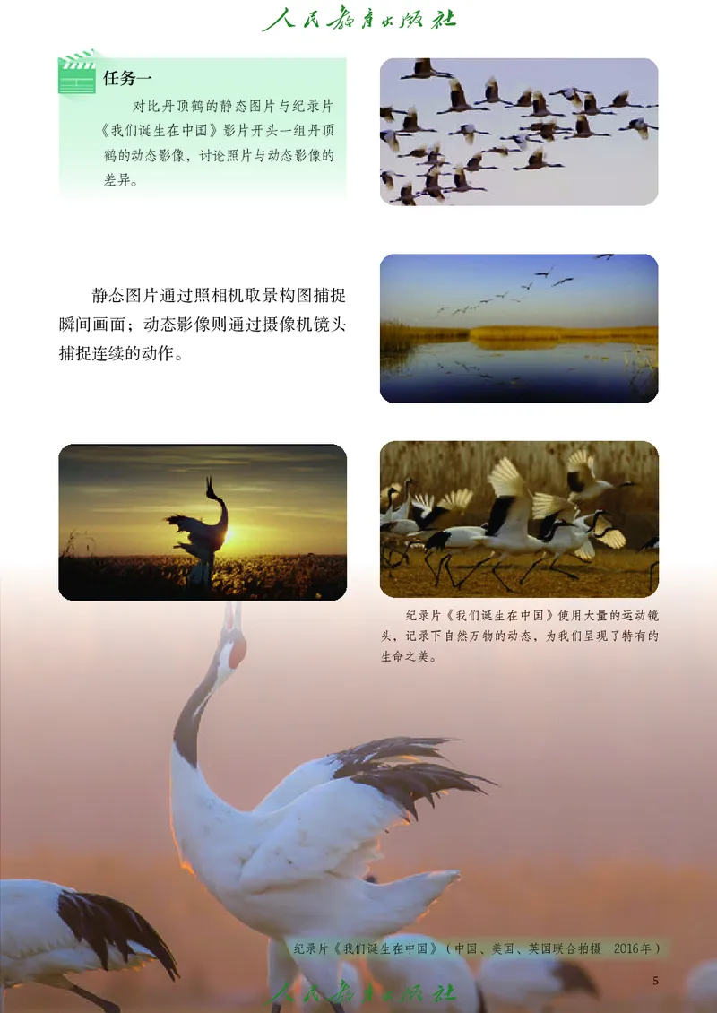 《人教版八年级下册(2025春版)影视电子课本_2025秋电子课本初中科目-新教材_全部版本•初中影视电子课本_人教版》第10页预览