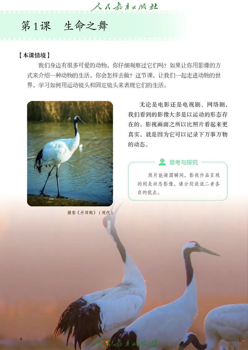 《人教版八年级下册(2025春版)影视电子课本_2025秋电子课本初中科目-新教材_全部版本•初中影视电子课本_人教版》第9页预览