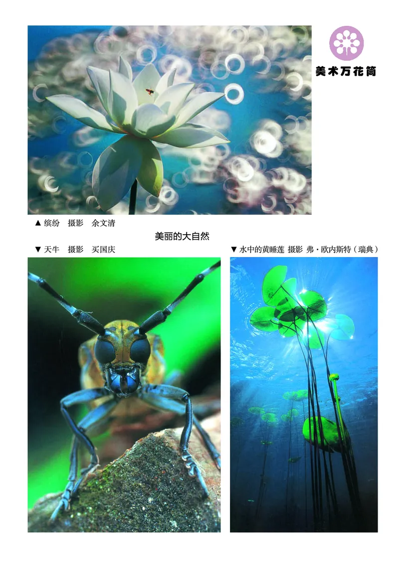 《湘美版2年级美术下册高清教材_光塔笔记小学教辅_2025秋电子课本小学科目-新教材_全部版本•小学美术电子课本_湘美版小学美术电子课本》第2页预览