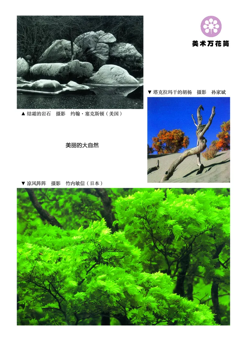 《湘美版3年级美术上册高清教材_光塔笔记小学教辅_2025秋电子课本小学科目-新教材_全部版本•小学美术电子课本_湘美版小学美术电子课本》第2页预览