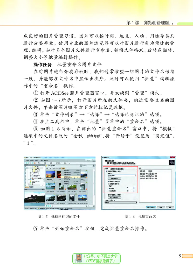《信息技术三册_光塔笔记小学教辅_2025秋电子课本小学科目-新教材_全部版本•信息技术电子课本_信息技术（北京版）》第9页预览