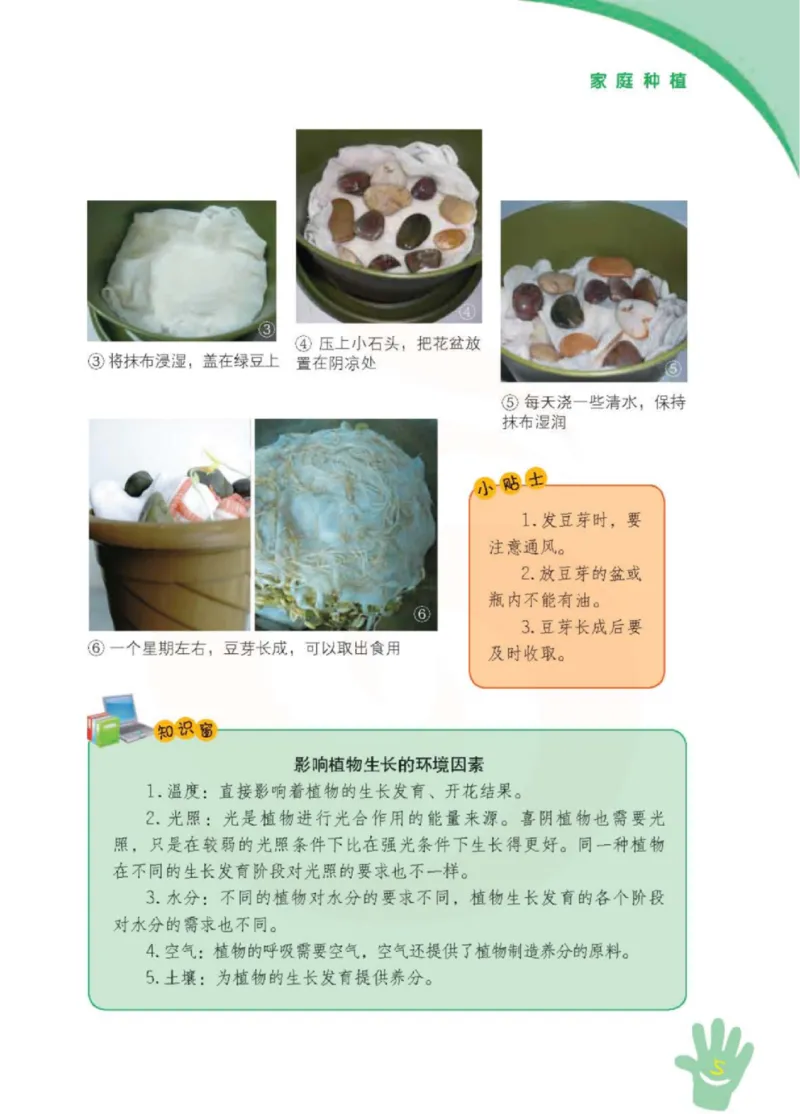 《小学劳动技术（苏教版）6B_光塔笔记小学教辅_2025秋电子课本小学科目-新教材_全部版本•劳动技术电子课本_苏教版》第10页预览