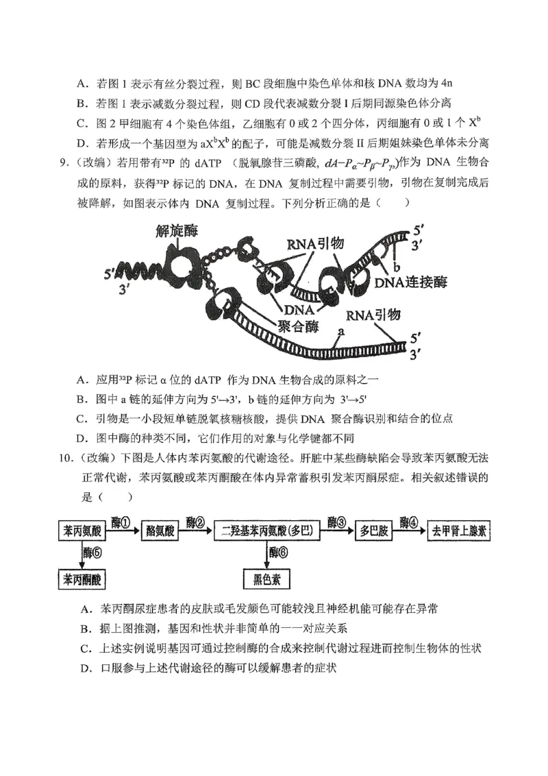 《重庆市七校联盟2026届高三二阶段12月联考生物_2026年高三《月考+期中考+阶段性检测真题合集》全国各省全科无水印_重庆市七校联盟2026届高三二阶段12月联考（全科）》第4页预览
