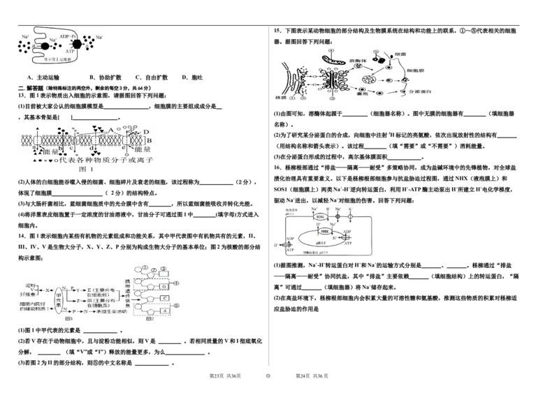 《高一年级生物试卷_2026年高一《月考+期中考+阶段性检测真题合集》全国各省全科无水印_新疆维吾尔自治区喀什地区巴楚县第一中学2026学年高一上学期12月月考（全）》第2页预览