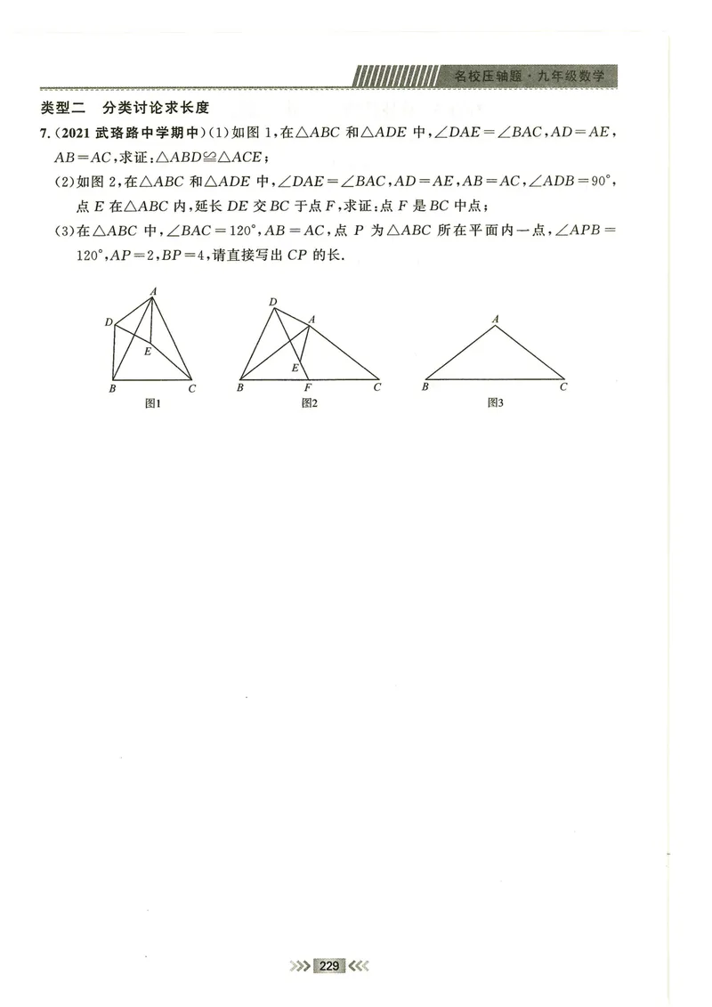 《2024秋九上大综合-学_初中全科目同步习题+精品试卷（7-9年级）_25秋初中数学《同步习题+精品试卷》_初中数学人教版试卷_初中数学人教版7-9年级下册_《名校压轴题》25春》第9页预览