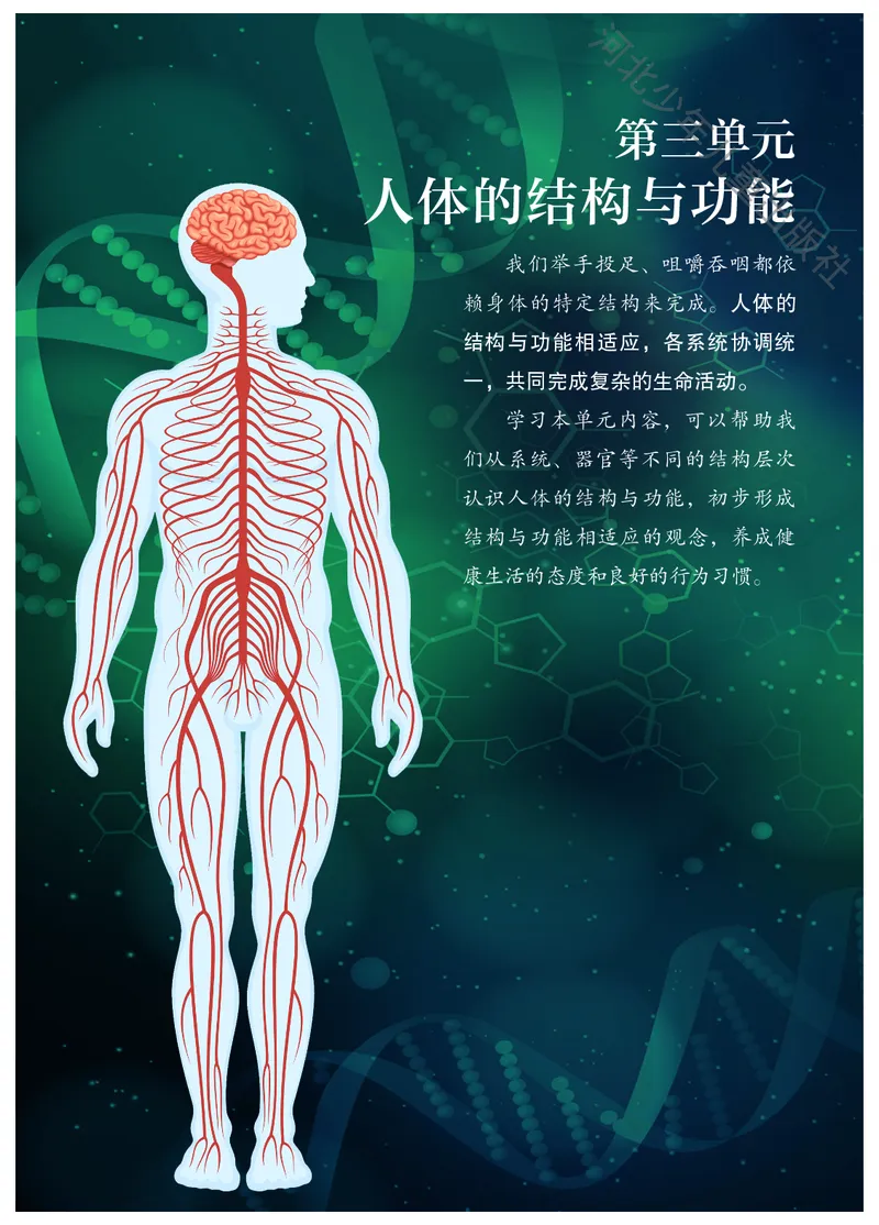 《冀少版7年级生物下册高清教材_2025秋电子课本初中科目-新教材_全部版本•初中生物电子课本_冀少版初中生物电子课本》第8页预览