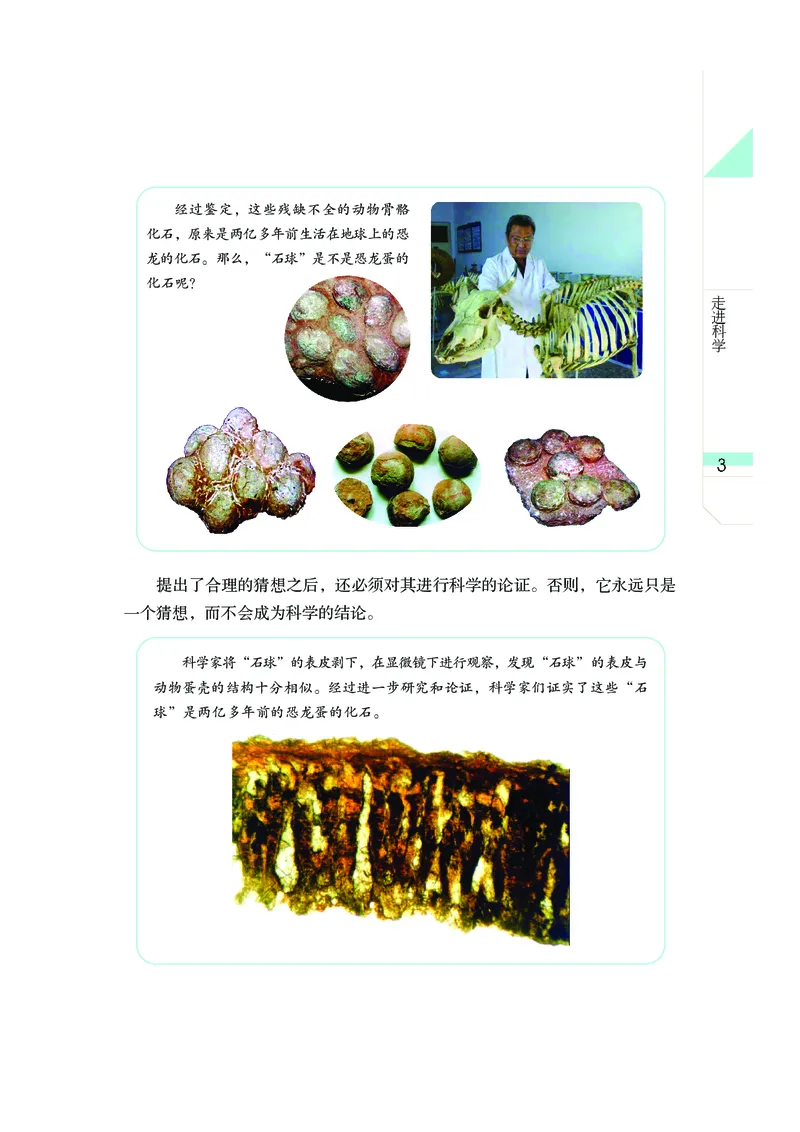 《武汉版七年级上册(2024秋版)科学电子课本_2025秋电子课本初中科目-新教材_全部版本•初中科学电子课本_武汉版》第10页预览