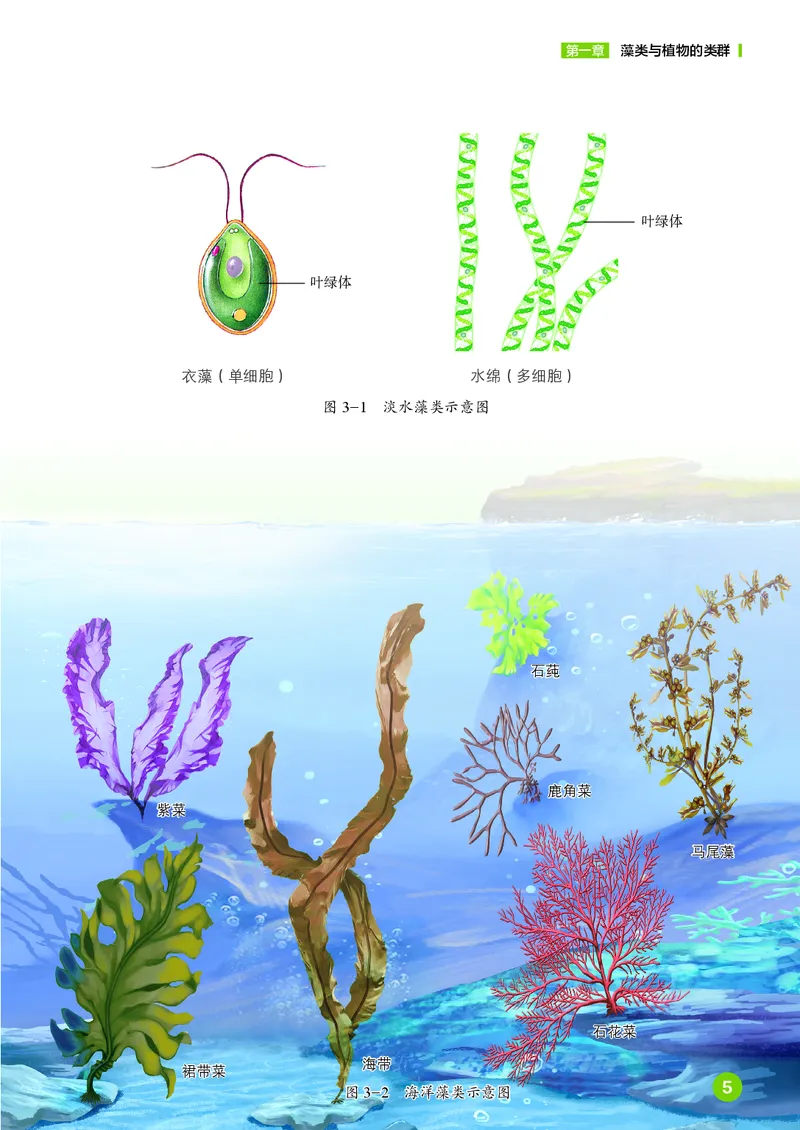 《鲁教版6年级生物下册高清教材_2025秋电子课本初中科目-新教材_全部版本•初中生物电子课本_鲁科版初中生物电子课本》第10页预览