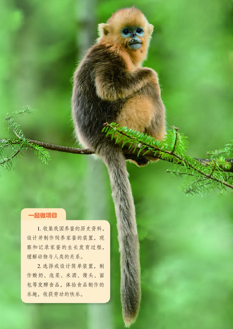 《鲁教版6年级生物下册高清教材_2025秋电子课本初中科目-新教材_全部版本•初中生物电子课本_鲁科版初中生物电子课本》第6页预览