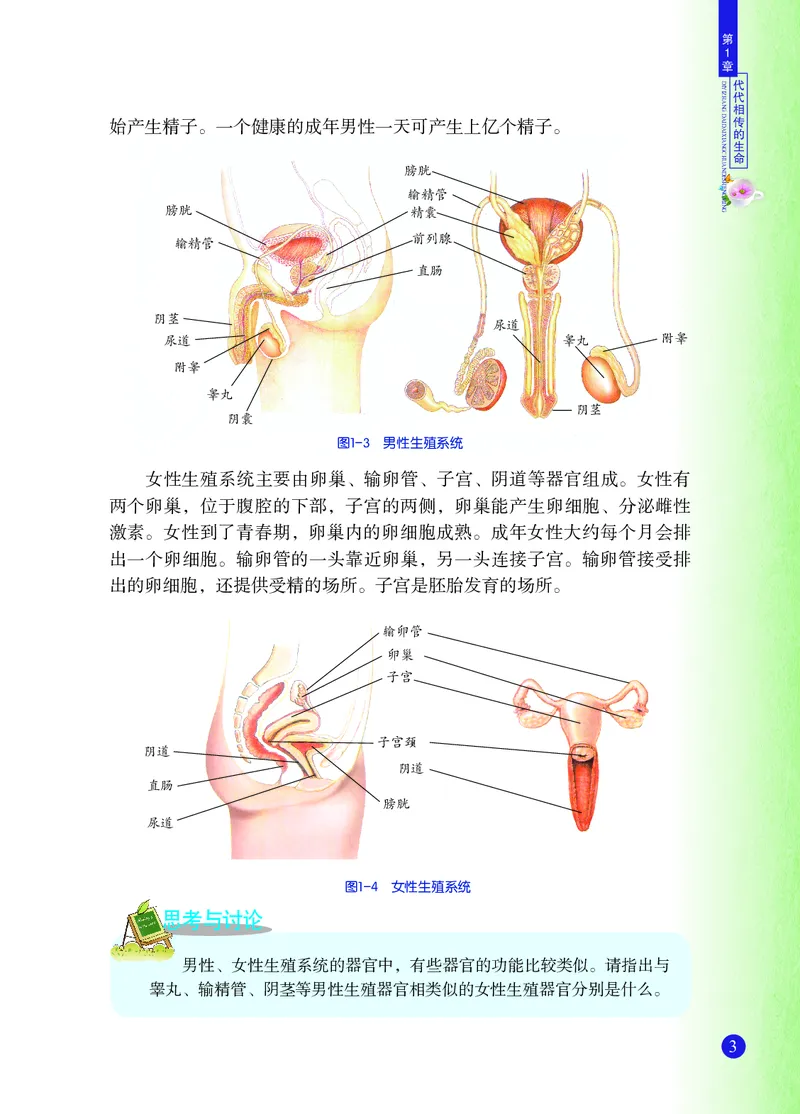 《浙教版七年级下册科学电子课本_2025秋电子课本初中科目-新教材_全部版本•初中科学电子课本_浙教版_2011年课标旧版》第10页预览