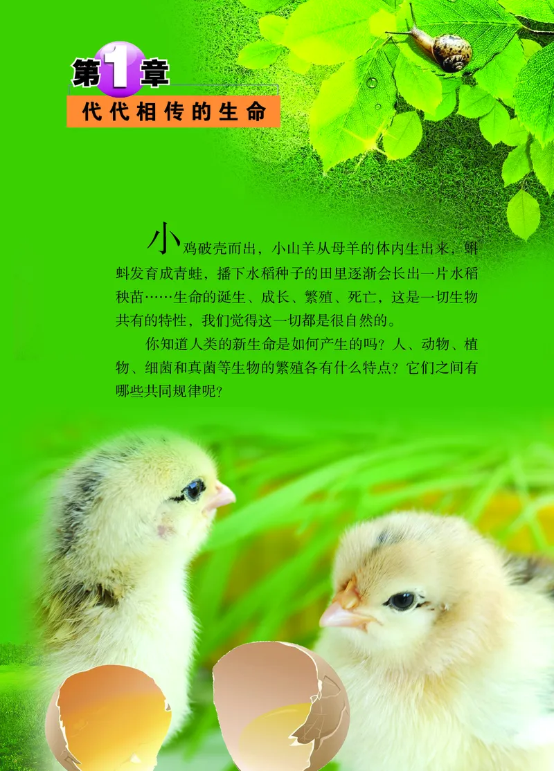 《浙教版七年级下册科学电子课本_2025秋电子课本初中科目-新教材_全部版本•初中科学电子课本_浙教版_2011年课标旧版》第8页预览