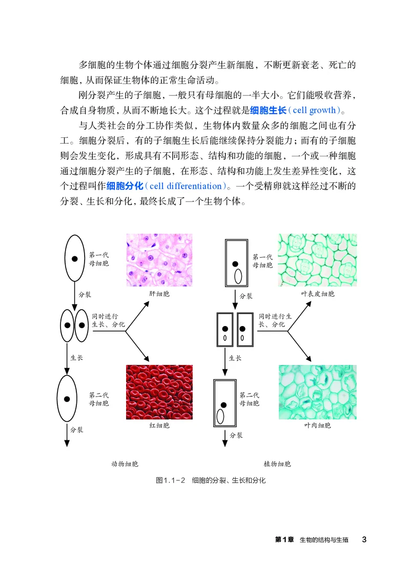 《浙教版七年级下册(2025年新版)科学电子课本_2025秋电子课本初中科目-新教材_全部版本•初中科学电子课本_浙教版》第10页预览