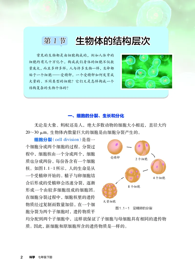 《浙教版七年级下册(2025年新版)科学电子课本_2025秋电子课本初中科目-新教材_全部版本•初中科学电子课本_浙教版》第9页预览