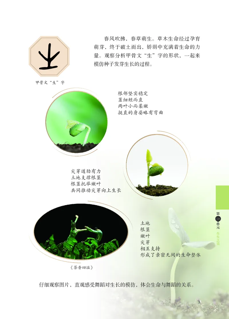 《苏少版八年级上册(2024秋版)舞蹈电子课本_2025秋电子课本初中科目-新教材_全部版本•初中舞蹈电子课本_苏少版》第9页预览