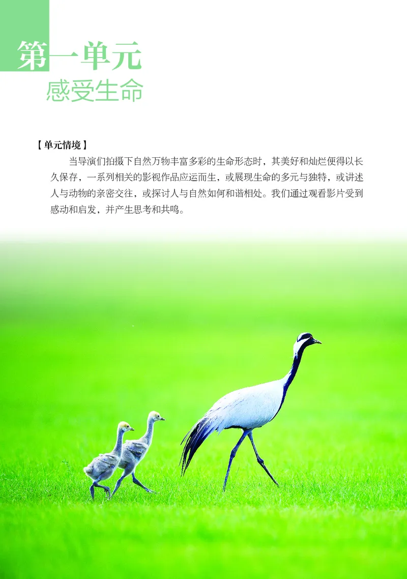 《鲁教版五四制八年级下册(2025春版)影视电子课本_2025秋电子课本初中科目-新教材_全部版本•初中影视电子课本_鲁教版五四制》第7页预览