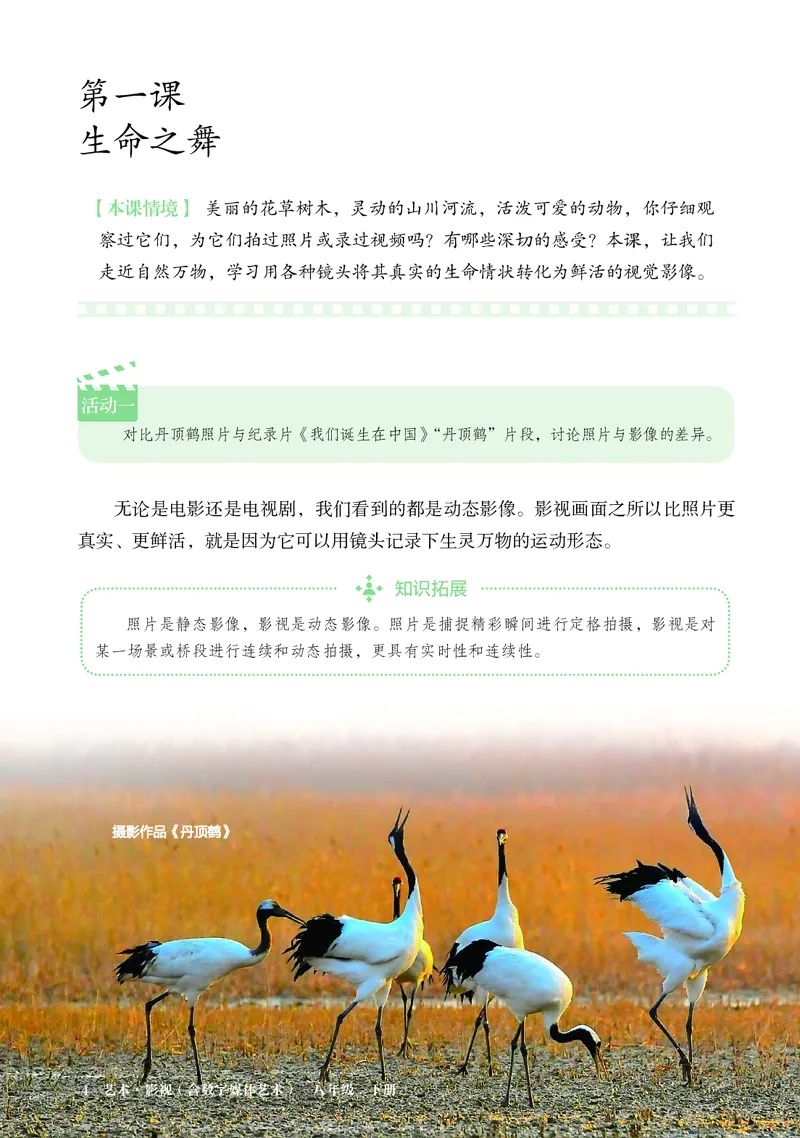 《鲁教版五四制八年级下册(2025春版)影视电子课本_2025秋电子课本初中科目-新教材_全部版本•初中影视电子课本_鲁教版五四制》第9页预览