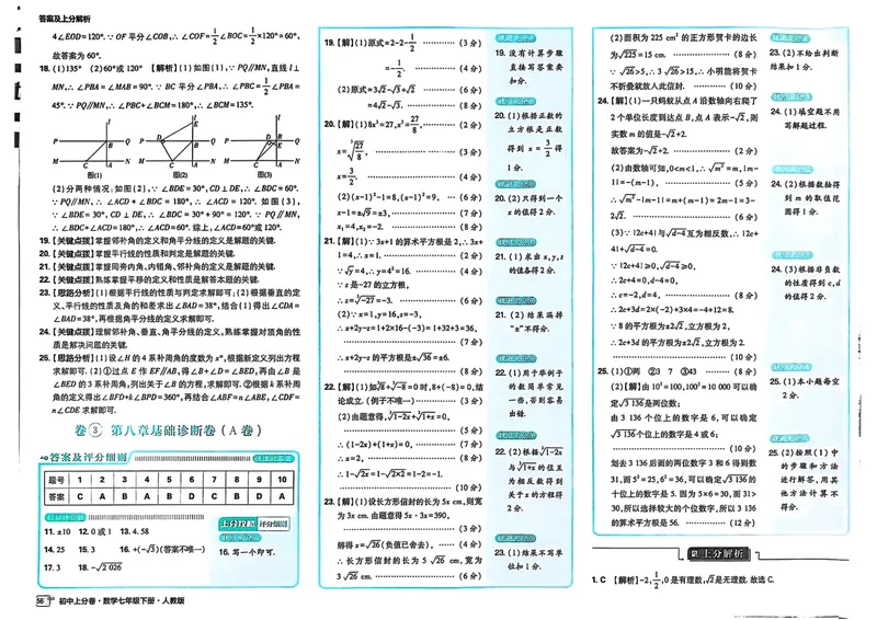 《2025《数学•上分卷》七年级下册(人教)答案解析_初中全科目同步习题+精品试卷（7-9年级）_25秋初中数学《同步习题+精品试卷》_初中数学人教版试卷_初中数学人教版7-9年级下册》第8页预览