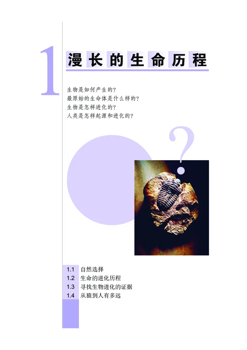 《武汉版九年级下册科学电子课本_2025秋电子课本初中科目-新教材_全部版本•初中科学电子课本_武汉版》第10页预览