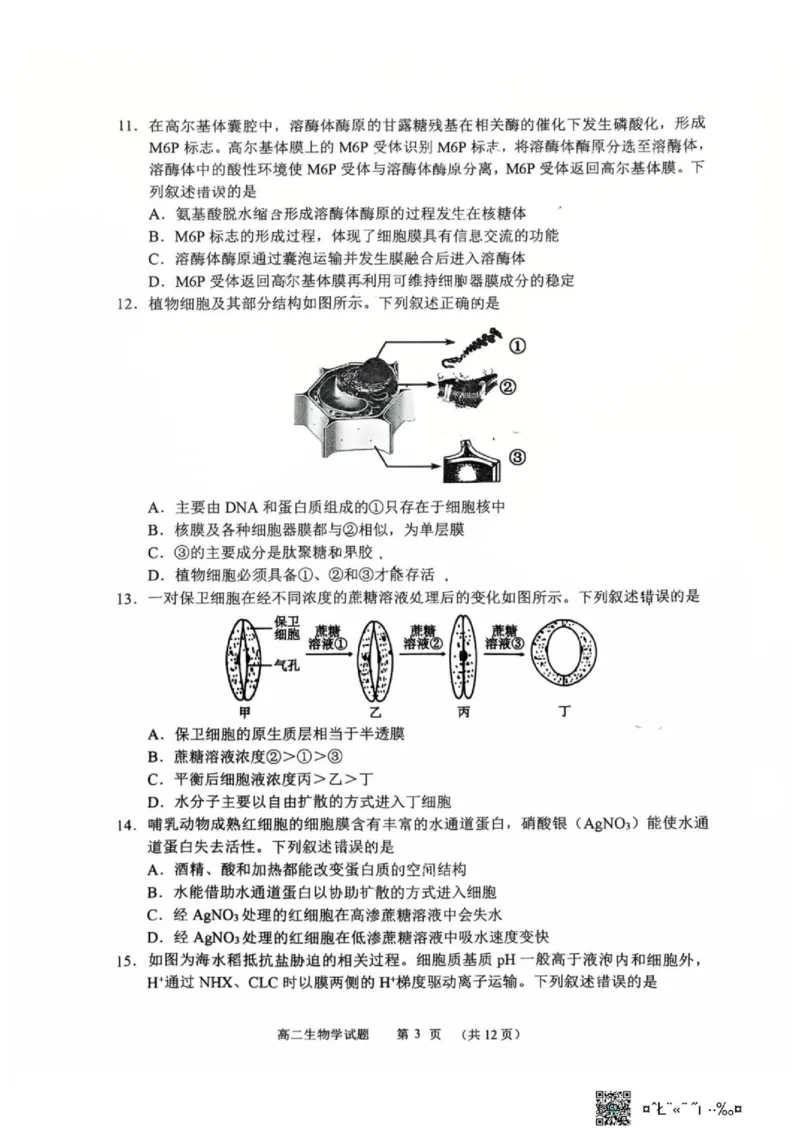 《黑龙江省哈尔滨市第六中学校2025-2026学年高二下学期6月阶段检测生物试题(扫描版无答案)_2024-2027高二（7-7月题库）_2026年06月高二试卷》第3页预览