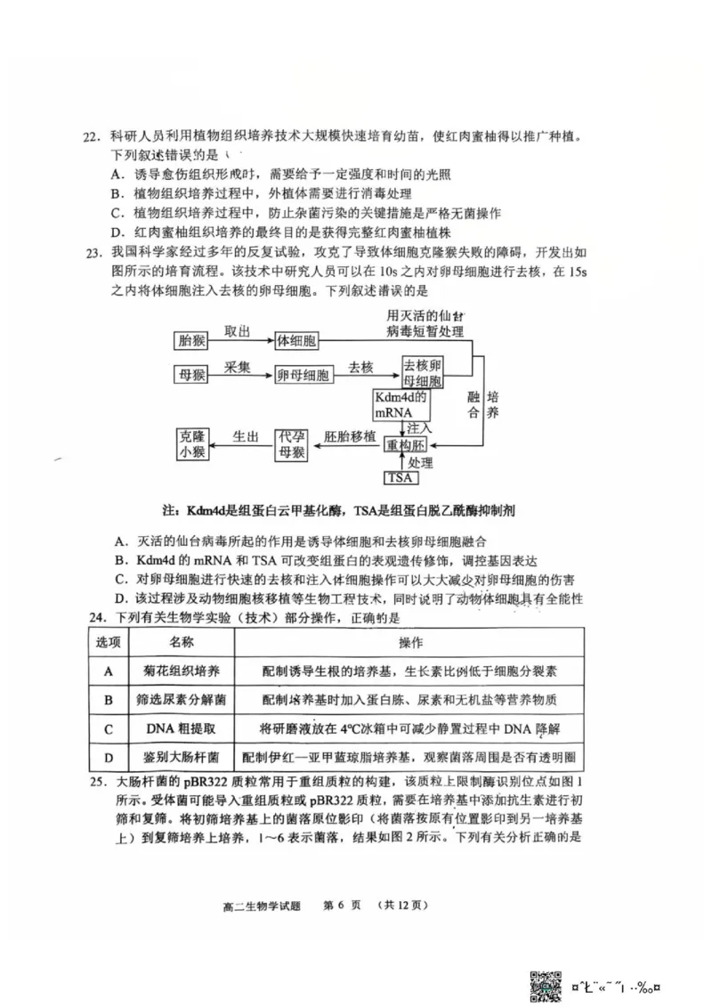 《黑龙江省哈尔滨市第六中学校2025-2026学年高二下学期6月阶段检测生物试题(扫描版无答案)_2024-2027高二（7-7月题库）_2026年06月高二试卷》第6页预览