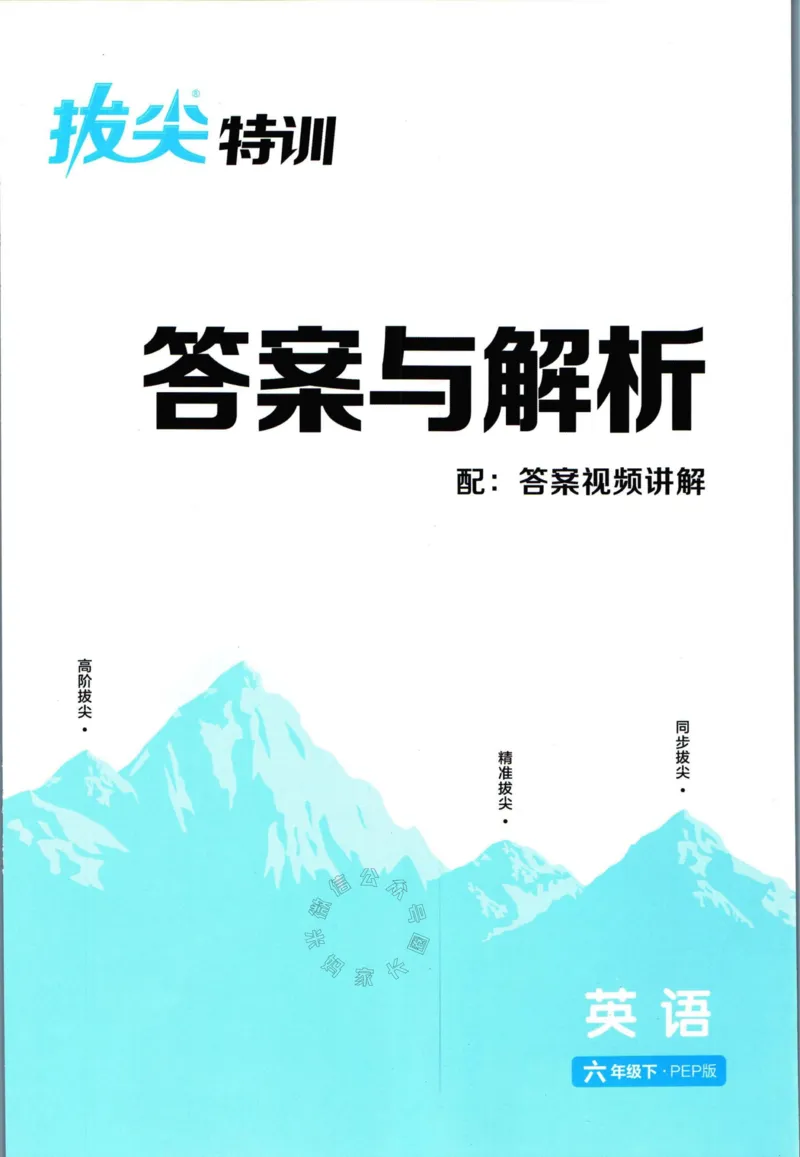 《008.人教PEP英语拔尖特训六年级下册答案_小学1-6年级全科全套_1-6年级全科下册_六年级_其他补充资料_英语人教PEP资料》第1页预览